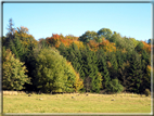 foto Parco Wilhelmshöhe in Autunno